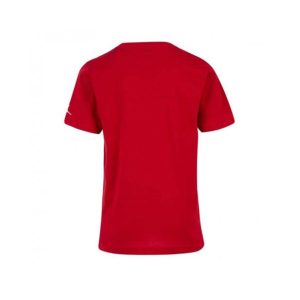 تی شرت اورجینال مردانه برند Nike کد 955175-R78