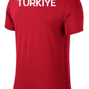 تی شرت اورجینال مردانه برند Nike کد nh 725891
