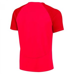 تی شرت اورجینال مردانه برند Nike کد TYC00721094875D1676267558404